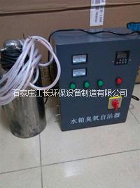 水箱自潔消毒器圖片/水箱自潔消毒器樣板圖 (4)