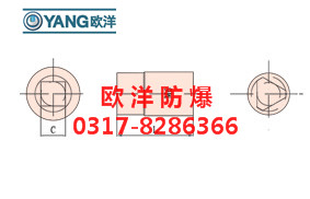 防爆套筒頭(C=1/4″)圖片/防爆套筒頭(C=1/4″)樣板圖 (4)