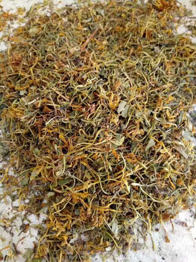 金銀花茶圖片/金銀花茶樣板圖 (1)