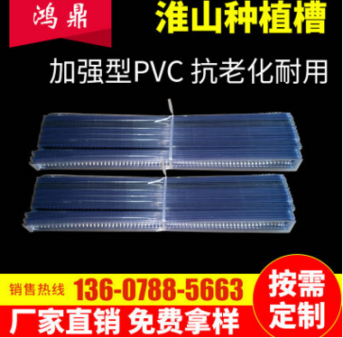 PVC吸塑托盘山药浅生槽图片