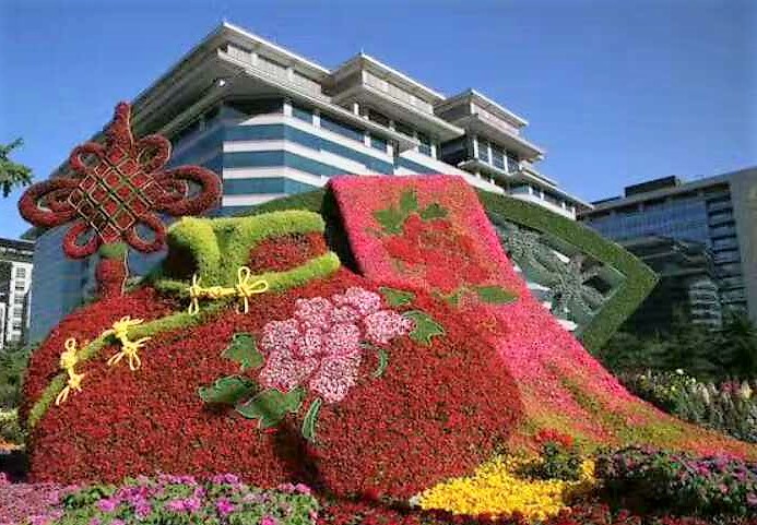 開封新園五色草造型圖片