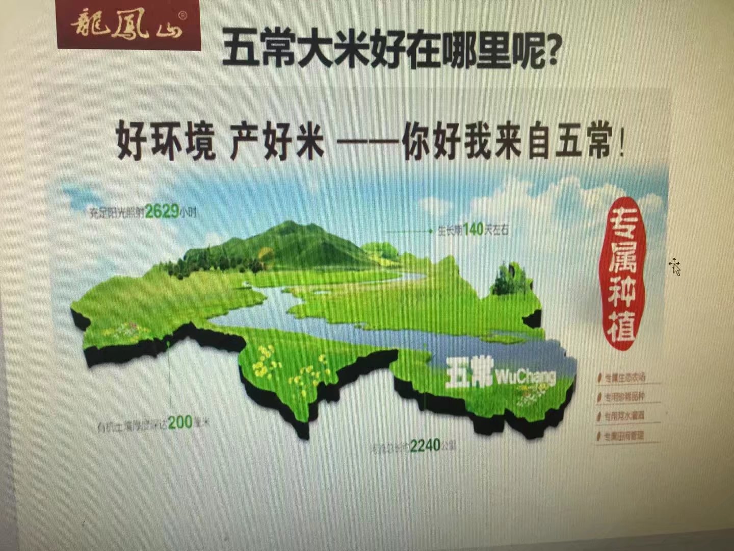 稻花香大米圖片/稻花香大米樣板圖 (2)