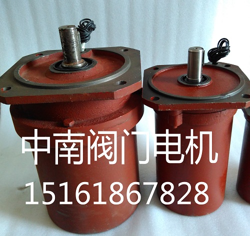 YDF閥門電機(jī) 電動(dòng)門電機(jī)圖片/YDF閥門電機(jī) 電動(dòng)門電機(jī)樣板圖 (3)