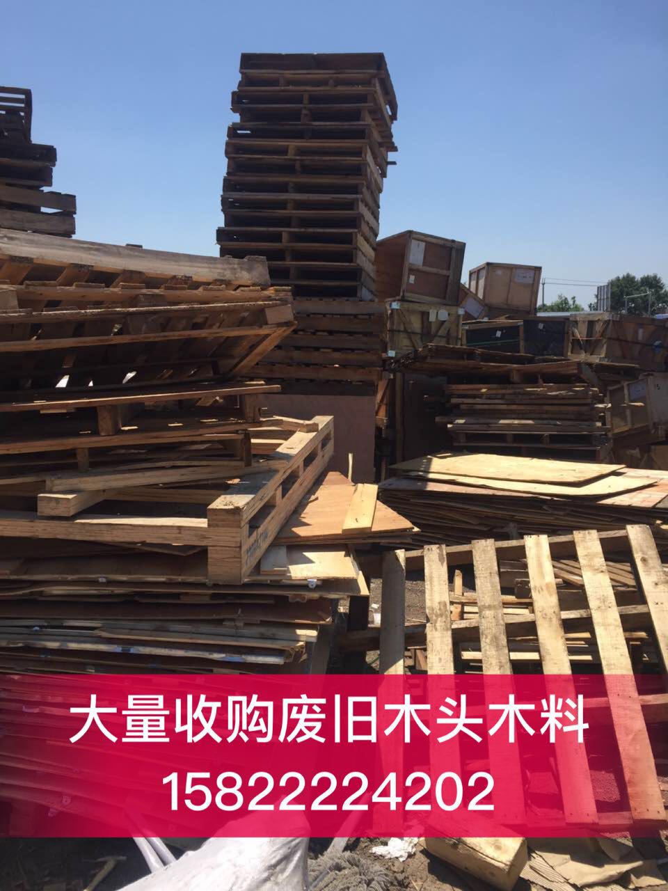 天津舊木頭回收圖片/天津舊木頭回收樣板圖 (3)