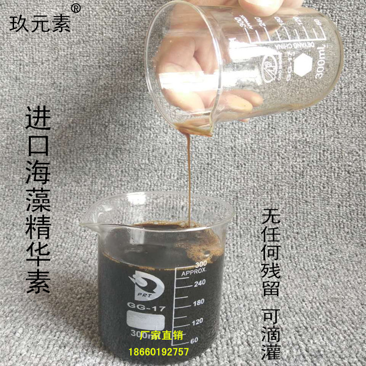 海藻精華素圖片/海藻精華素樣板圖 (2)