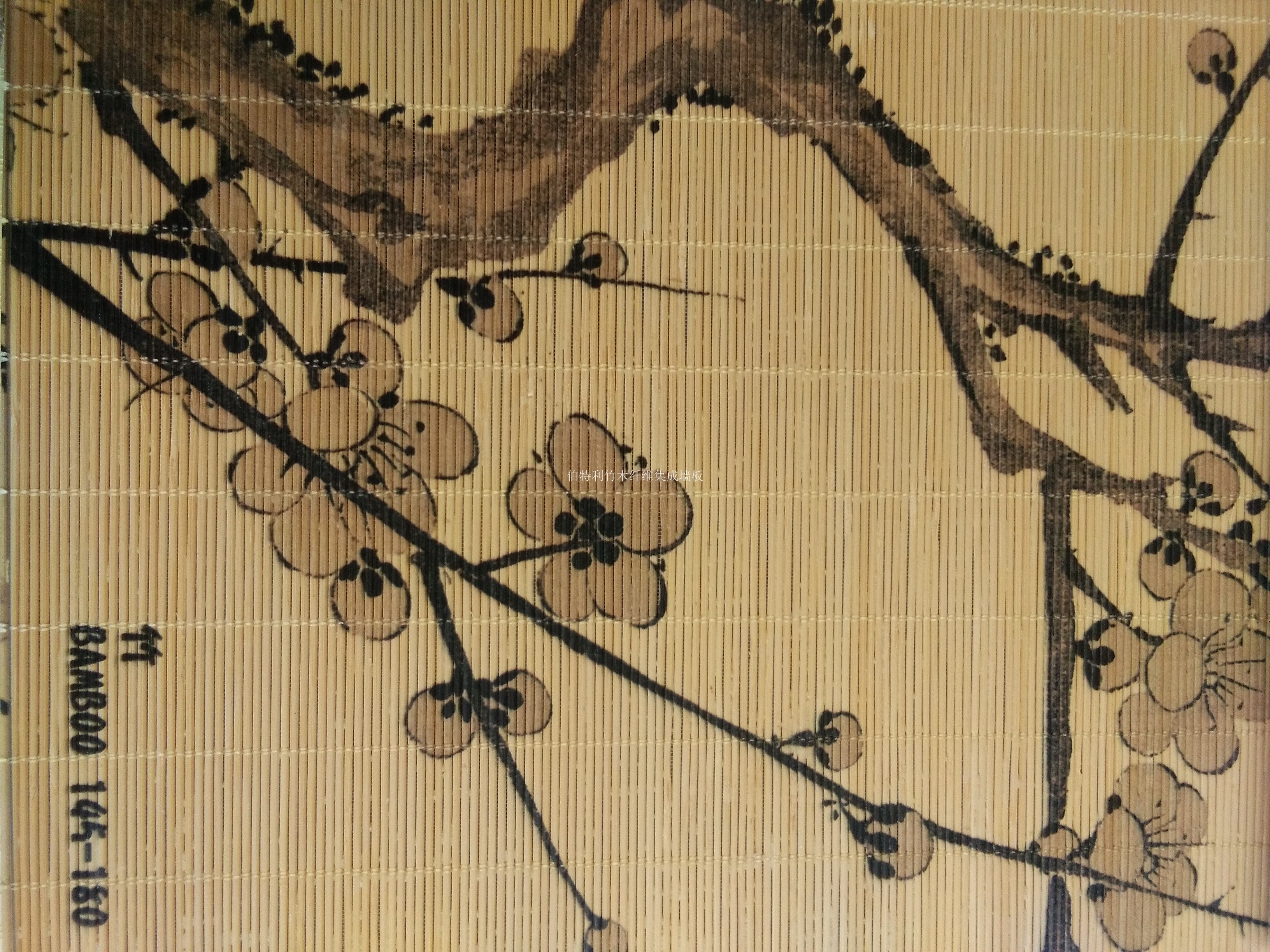 伯特利圖片/伯特利樣板圖 (3)