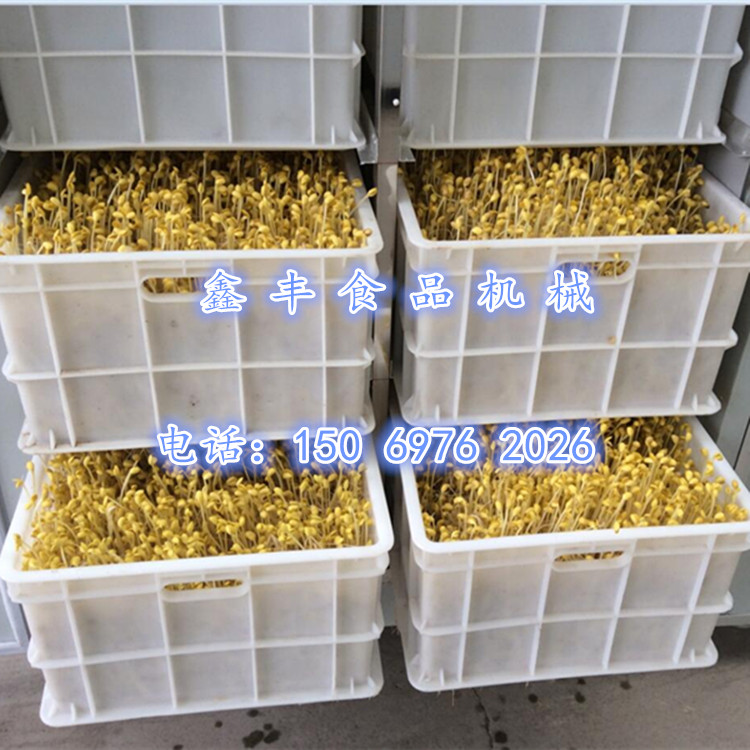 全自動(dòng)豆芽機(jī)圖片/全自動(dòng)豆芽機(jī)樣板圖 (2)