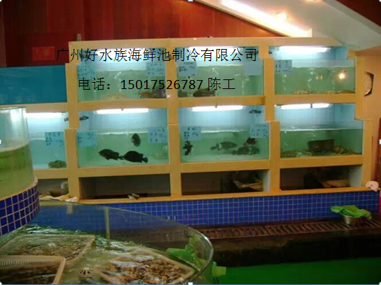 定做海鮮池圖片/定做海鮮池樣板圖 (2)