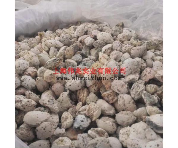 雜質(zhì)圖片/雜質(zhì)樣板圖 (3)