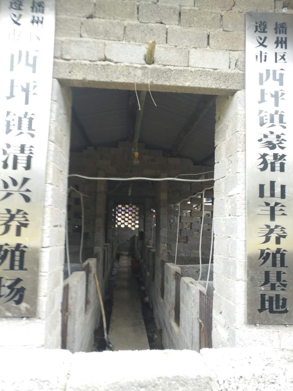 遵義*養(yǎng)殖 中華本地* *養(yǎng)殖