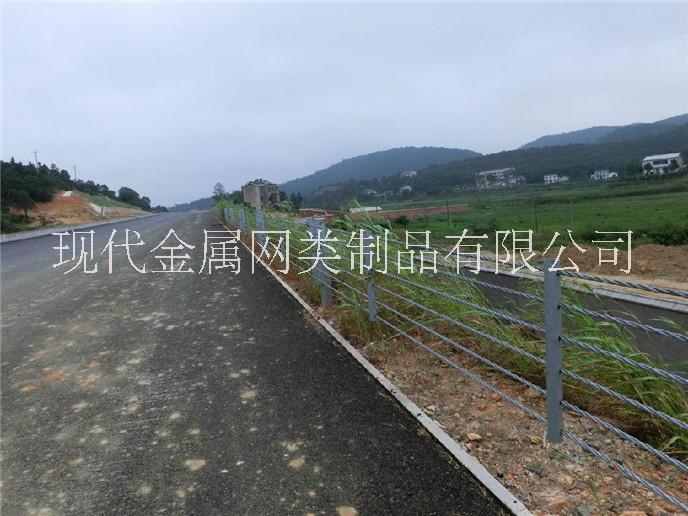 纜索護(hù)欄圖片/纜索護(hù)欄樣板圖 (2)