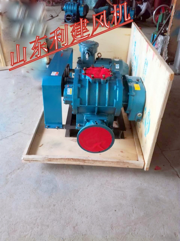 兩葉羅茨鼓風機圖片/兩葉羅茨鼓風機樣板圖 (2)