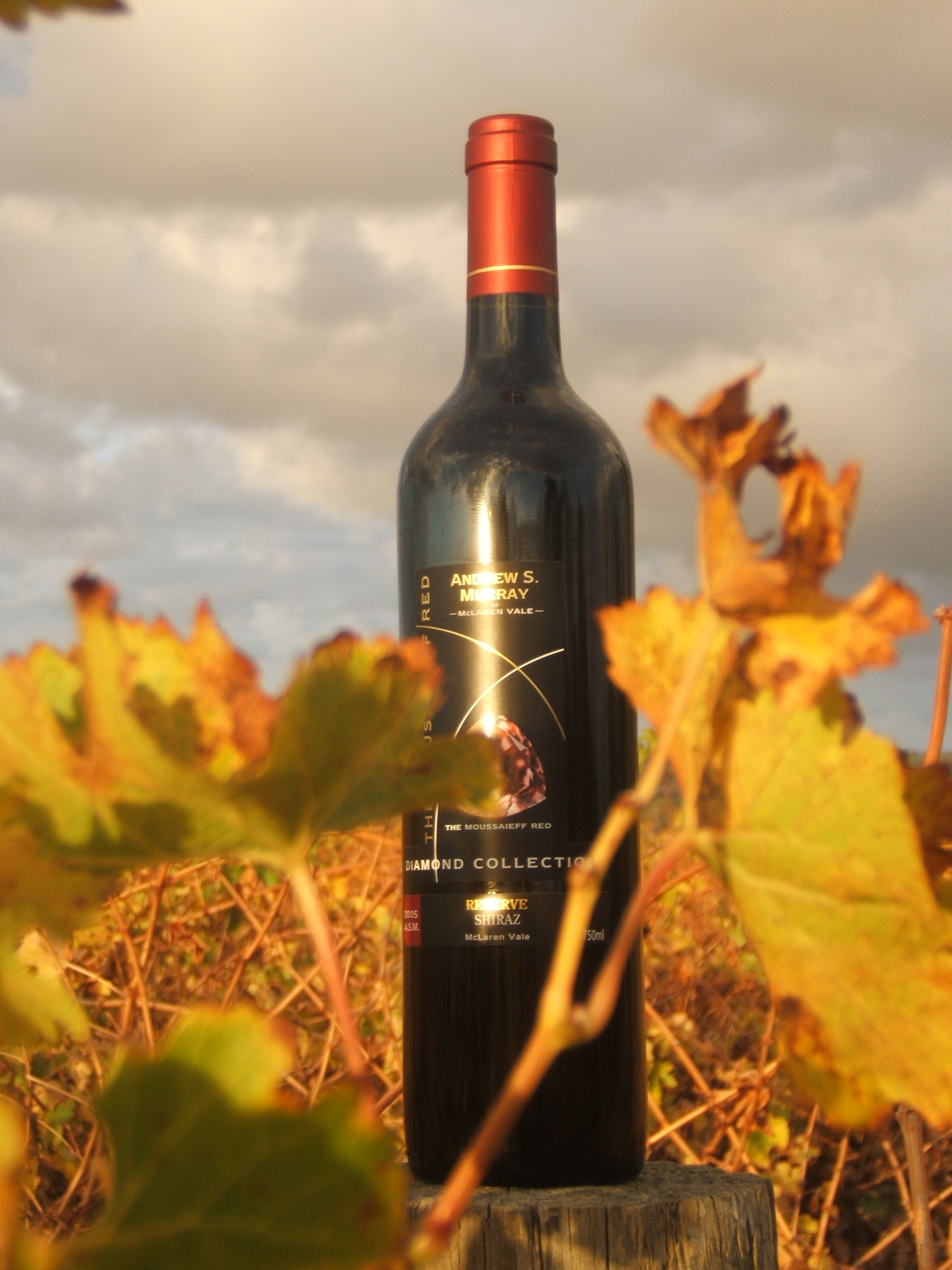 法國進(jìn)口葡萄酒圖片/法國進(jìn)口葡萄酒樣板圖 (3)