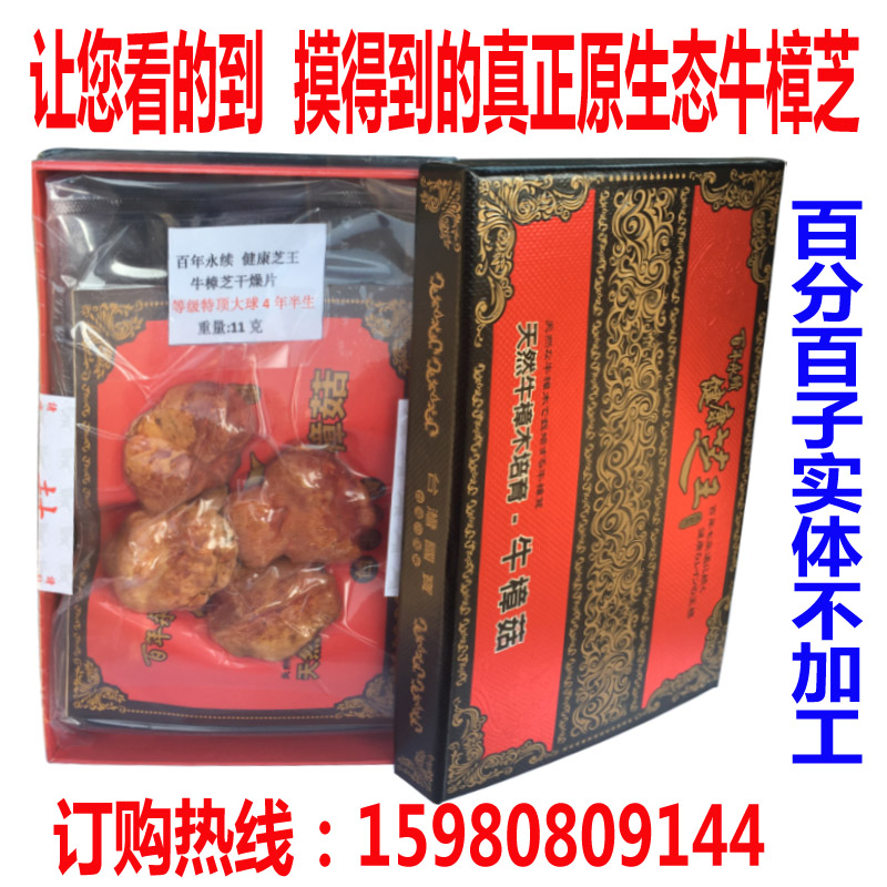 純牛樟芝圖片