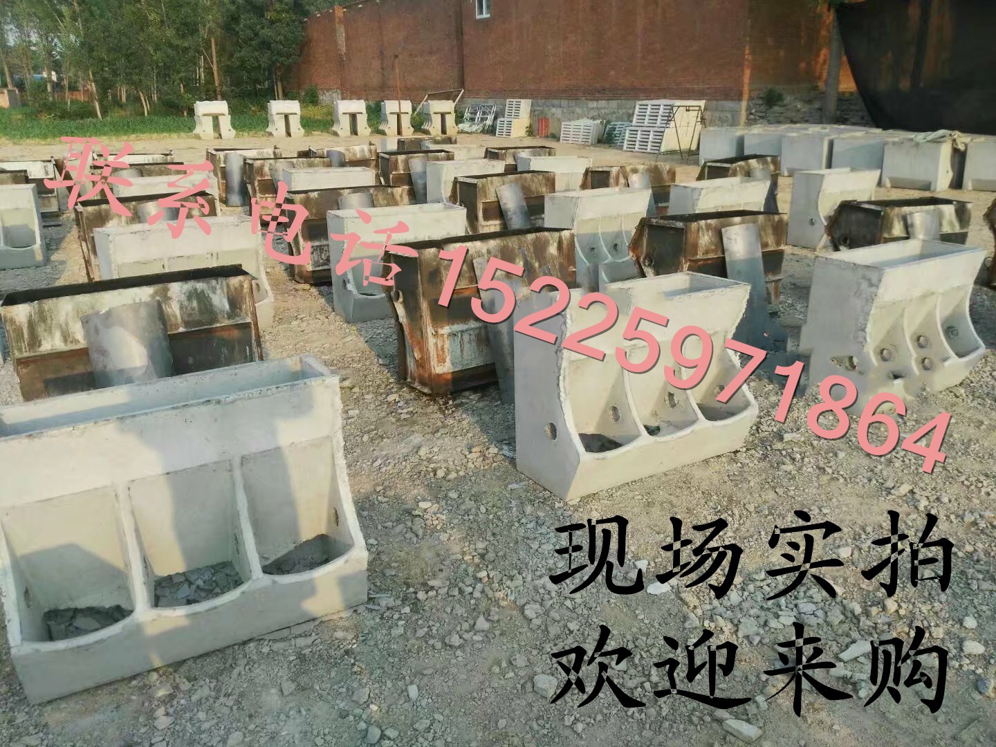 小豬圖片/小豬樣板圖 (3)