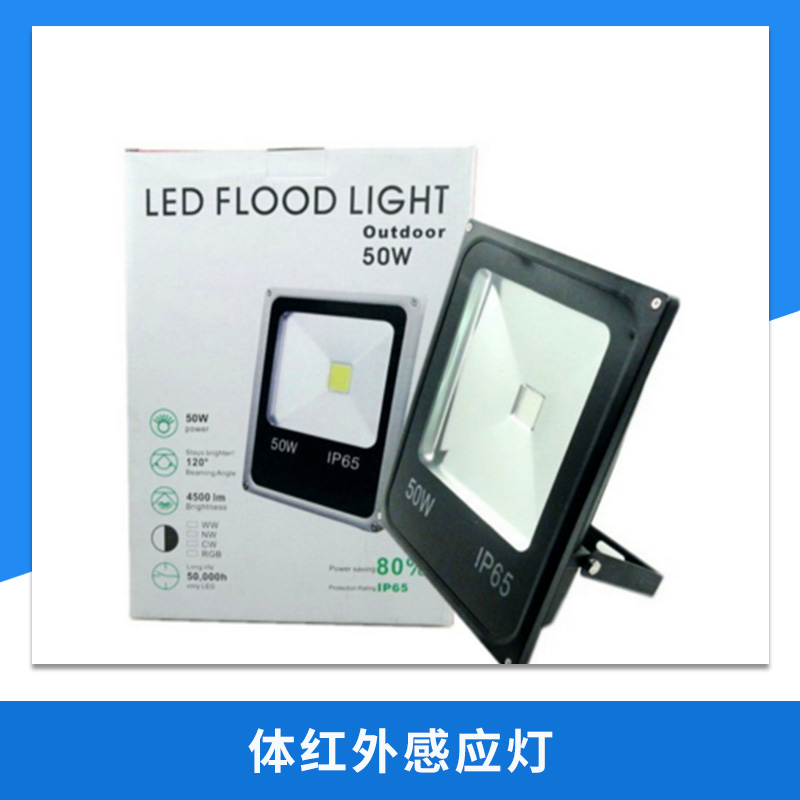 體紅外感應(yīng)燈圖片/體紅外感應(yīng)燈樣板圖 (1)