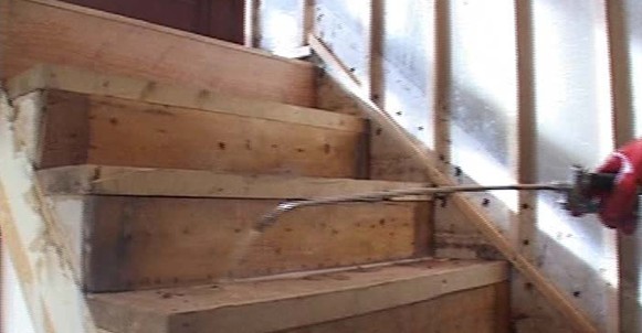 白蟻預(yù)防處理圖片/白蟻預(yù)防處理樣板圖 (3)