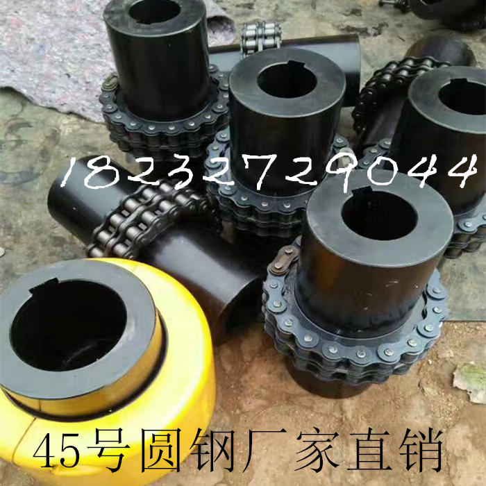滾子鏈聯(lián)軸器圖片/滾子鏈聯(lián)軸器樣板圖 (1)