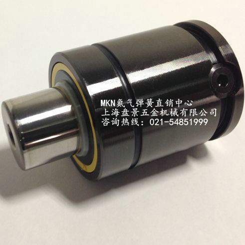 模具專(zhuān) 用氮?dú)鈴椈蓤D片/模具專(zhuān) 用氮?dú)鈴椈蓸影鍒D (4)