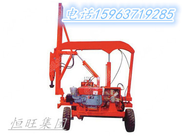 自行式液壓打樁機(jī)圖片