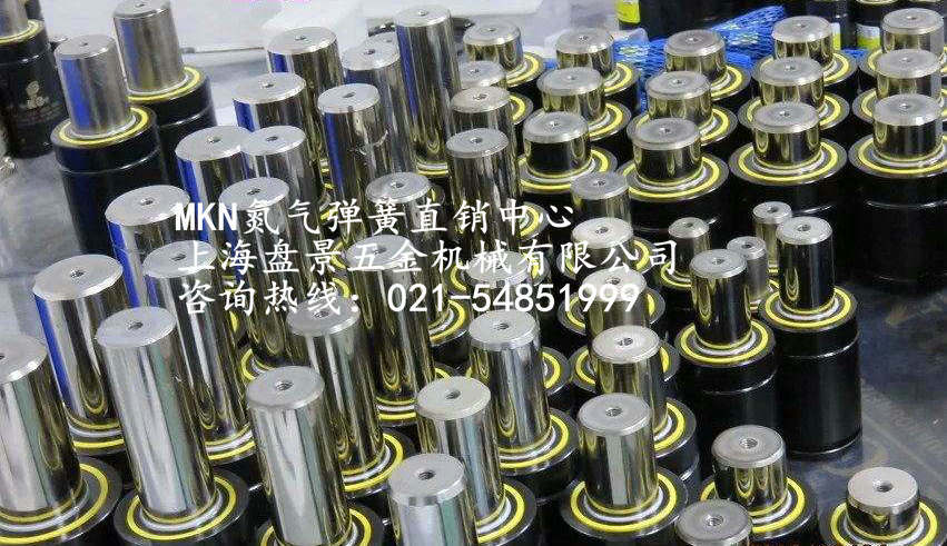 模具專(zhuān) 用氮?dú)鈴椈蓤D片/模具專(zhuān) 用氮?dú)鈴椈蓸影鍒D (2)
