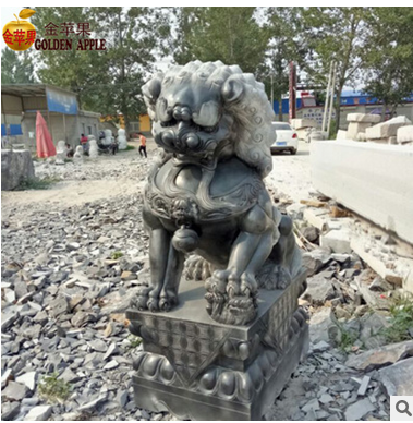 獅子圖片/獅子樣板圖 (2)