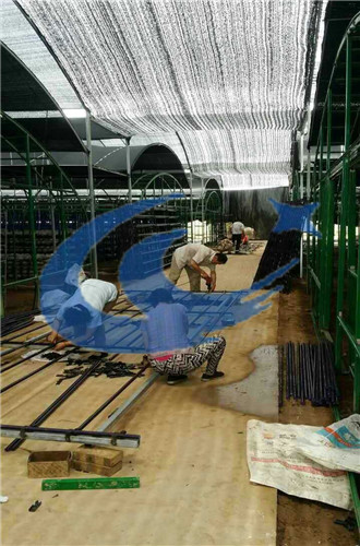 大棚支架圖片/大棚支架樣板圖 (3)