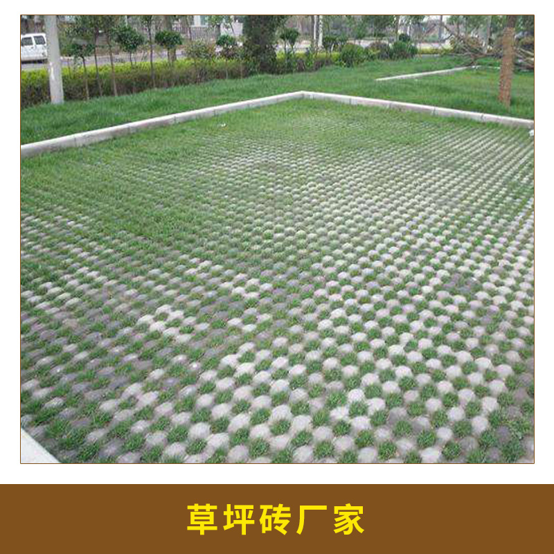 草坪磚圖片/草坪磚樣板圖 (2)