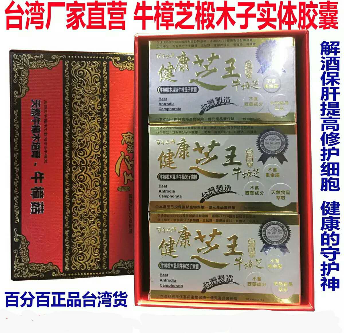 牛樟芝一般版圖片