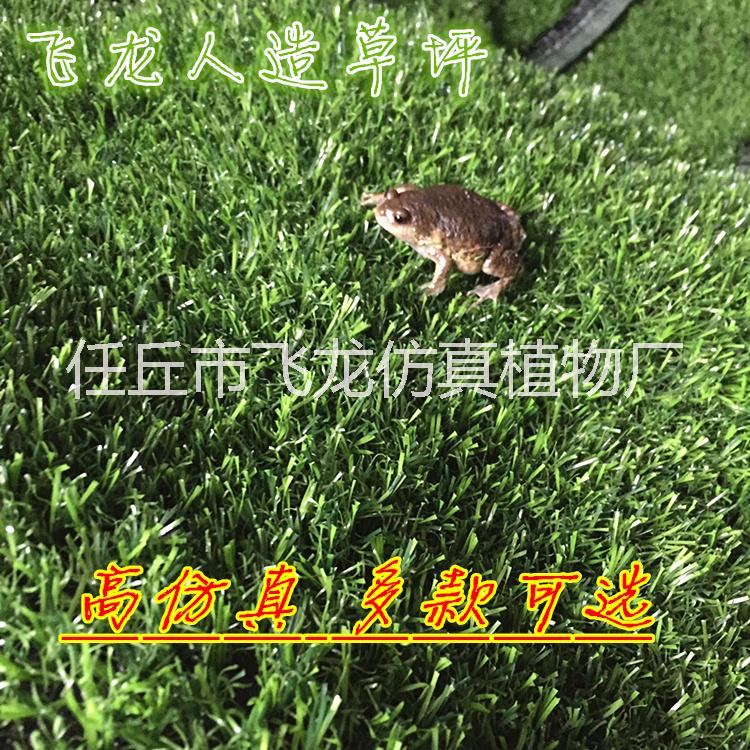 幼兒園地毯草坪圖片/幼兒園地毯草坪樣板圖 (1)