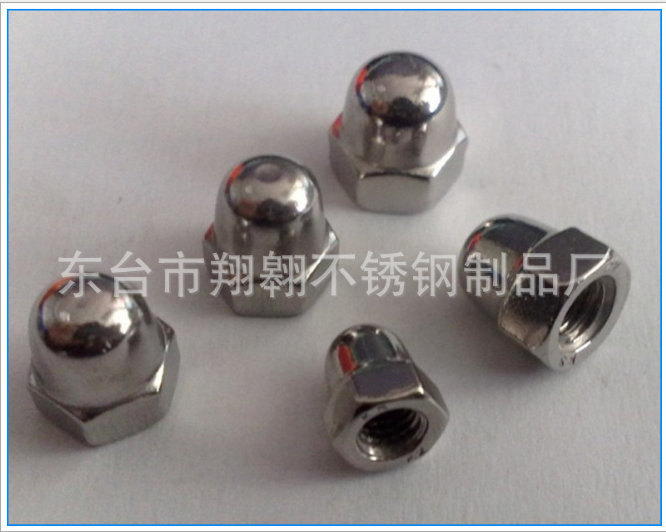 不銹鋼螺帽圖片/不銹鋼螺帽樣板圖 (3)