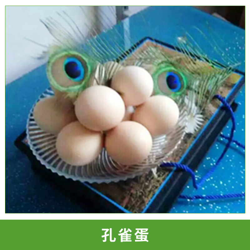 孔雀蛋圖片/孔雀蛋樣板圖 (4)