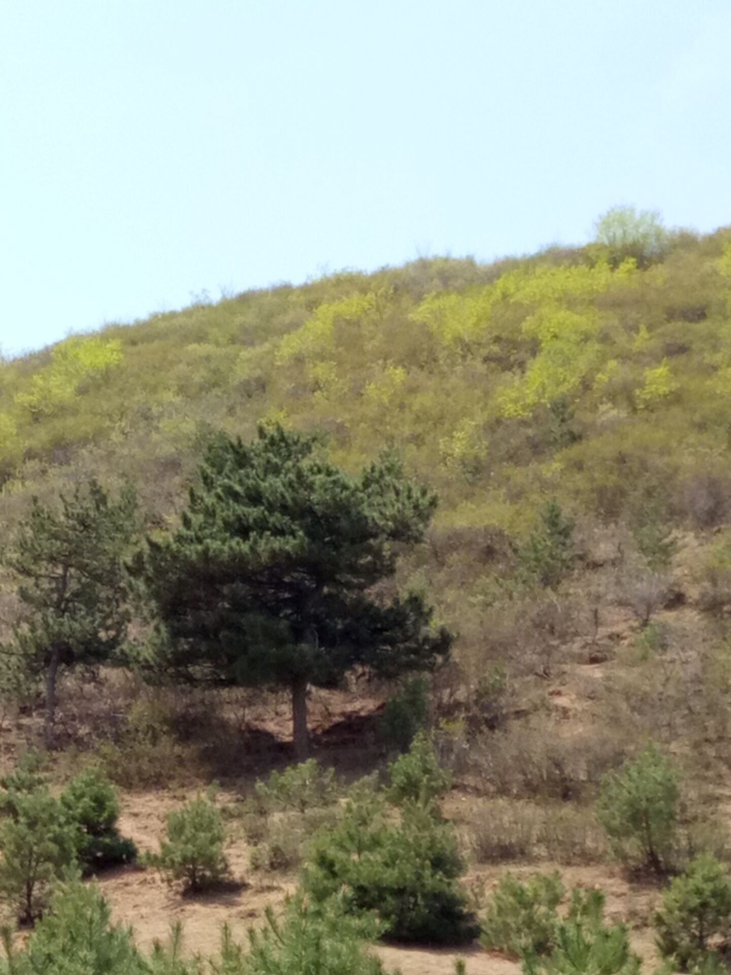河北承德圖片/河北承德樣板圖 (4)