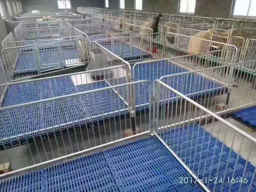 仔豬保育床圖片