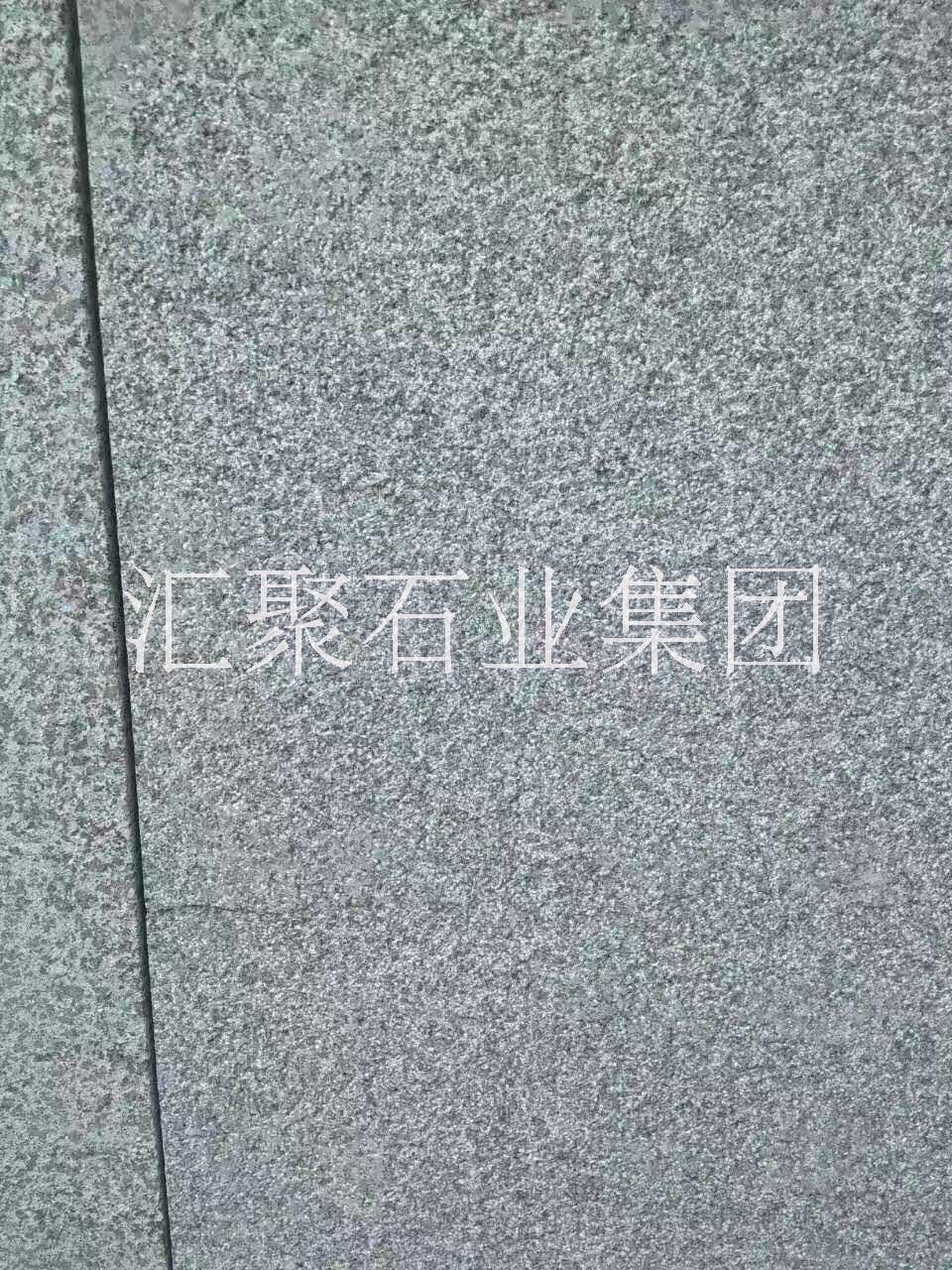 森林綠圖片/森林綠樣板圖 (2)