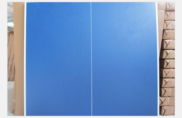 西安乒乓球臺(tái)批發(fā)圖片/西安乒乓球臺(tái)批發(fā)樣板圖 (4)