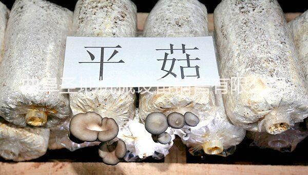 多功能全自動(dòng)裝袋機(jī)圖片
