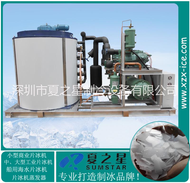 湖北黃石東貝制冰機片冰機 黃石制冰廠日產20T大型片冰機