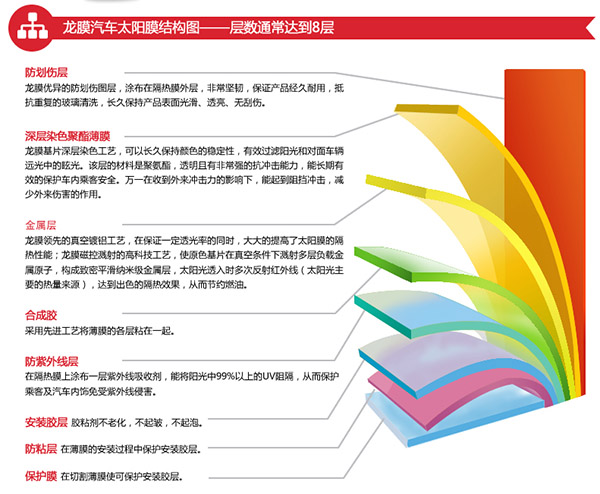 進(jìn)口龍膜圖片/進(jìn)口龍膜樣板圖 (3)