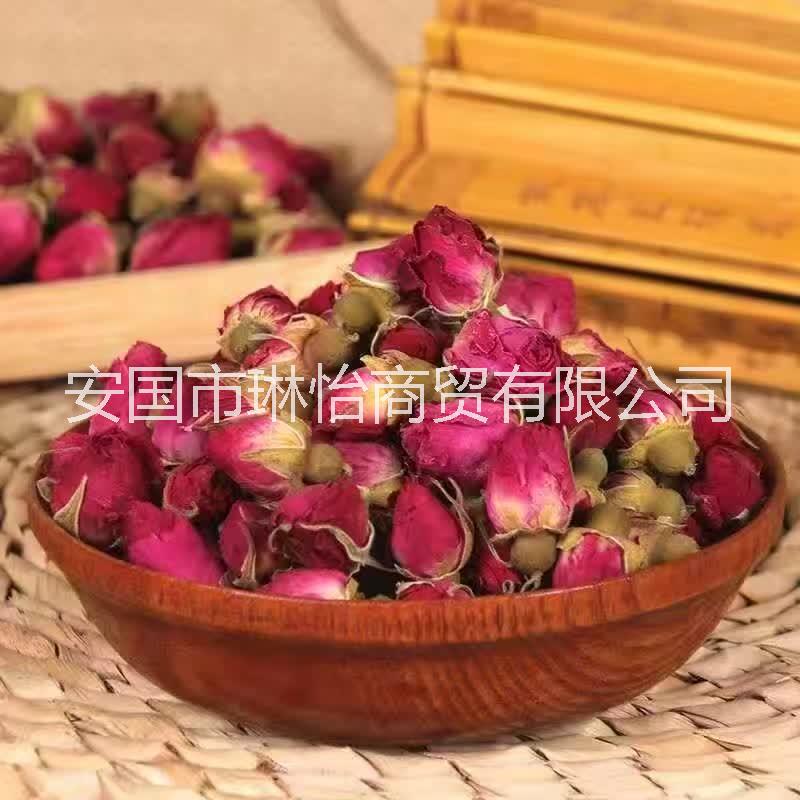 玫瑰花圖片/玫瑰花樣板圖 (1)