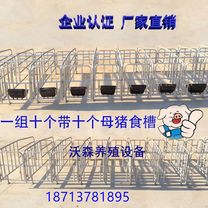 母豬定位欄圖片/母豬定位欄樣板圖 (4)