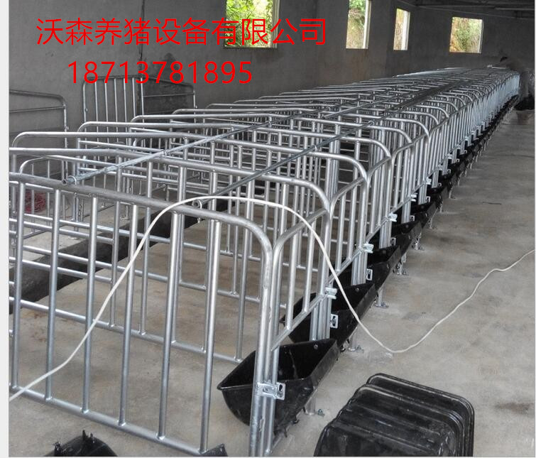 母豬定位欄圖片/母豬定位欄樣板圖 (2)