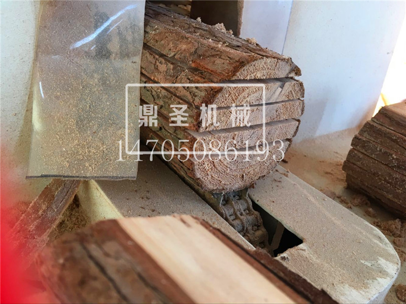 圓木多片鋸圖片/圓木多片鋸樣板圖 (4)