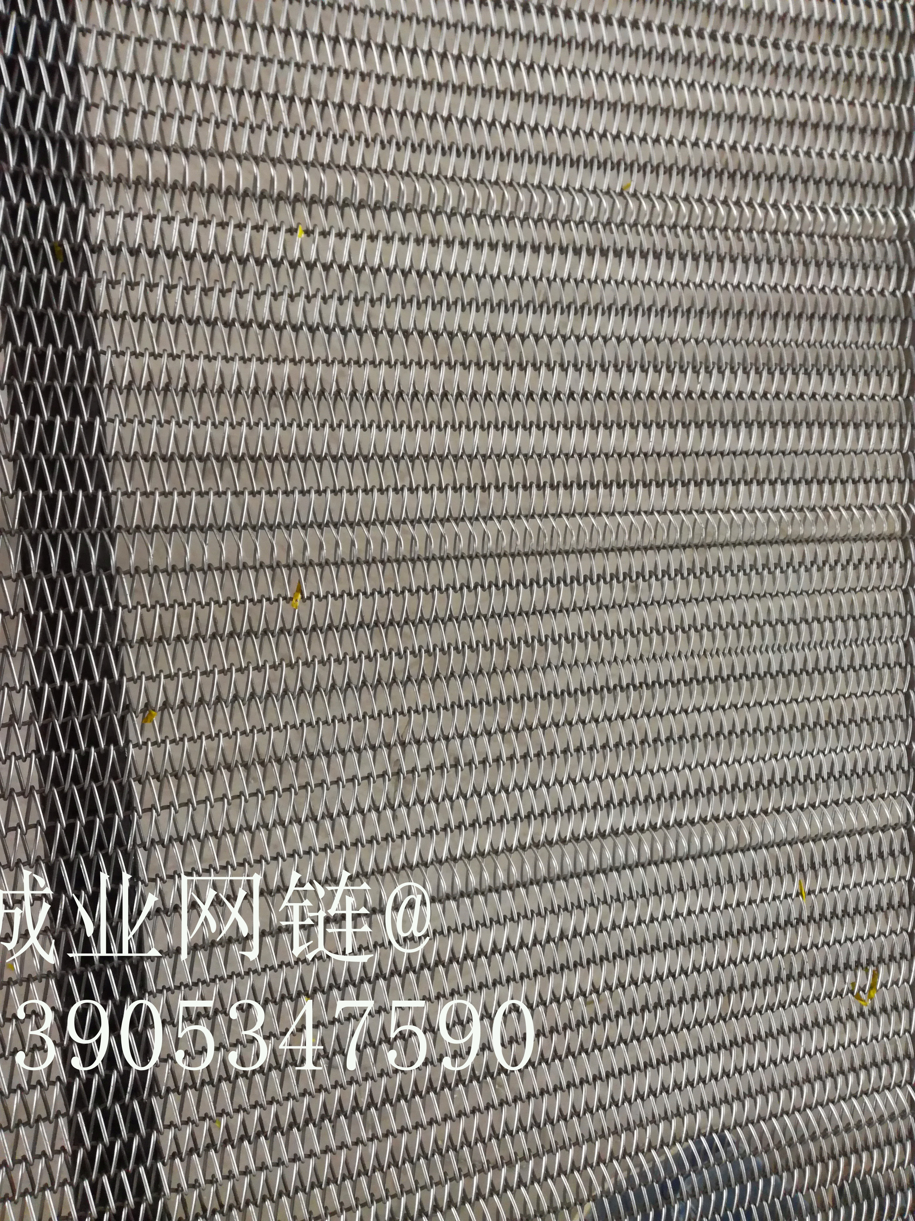 廠家直銷 輸送網(wǎng)帶 不銹鋼網(wǎng)帶圖片/廠家直銷 輸送網(wǎng)帶 不銹鋼網(wǎng)帶樣板圖 (2)