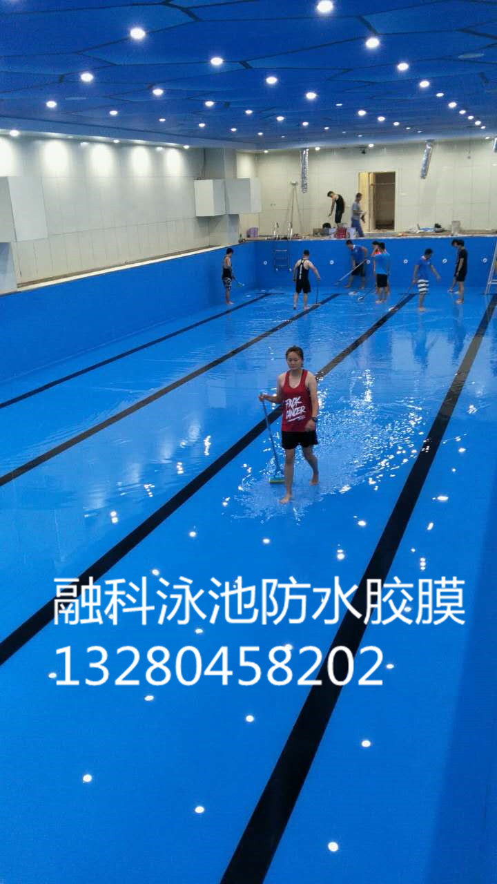 室外泳池圖片/室外泳池樣板圖 (4)