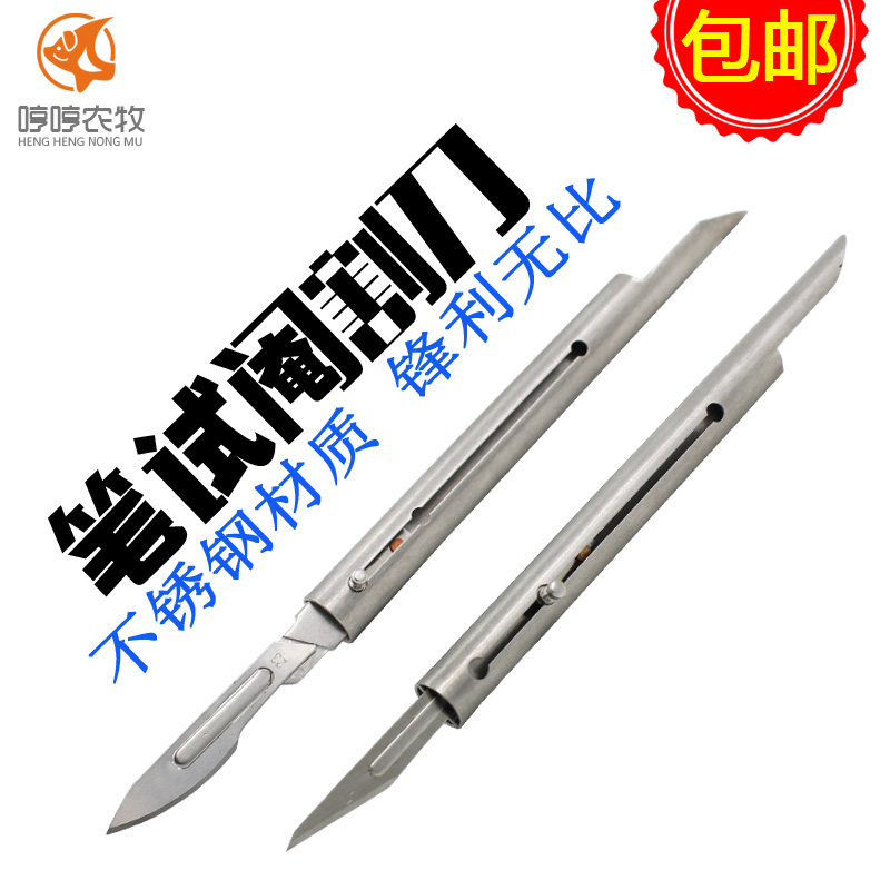 豬仔豬圖片/豬仔豬樣板圖 (4)