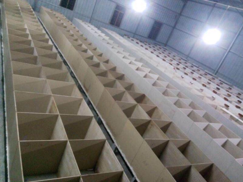 吳川竹鼠養(yǎng)殖圖片