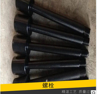護(hù)欄螺栓圖片/護(hù)欄螺栓樣板圖 (1)
