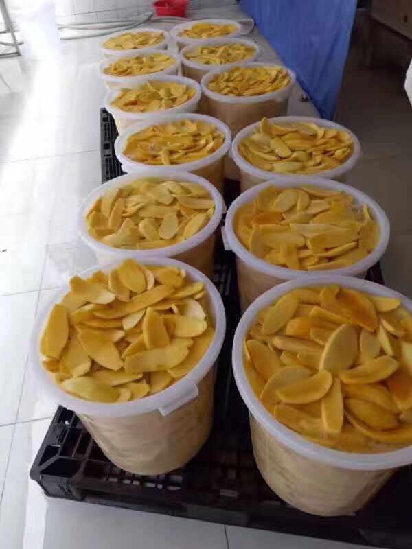 進口芒果干圖片/進口芒果干樣板圖 (4)