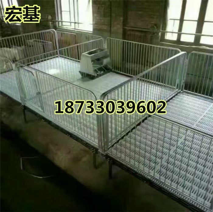 豬保育床圖片/豬保育床樣板圖 (2)